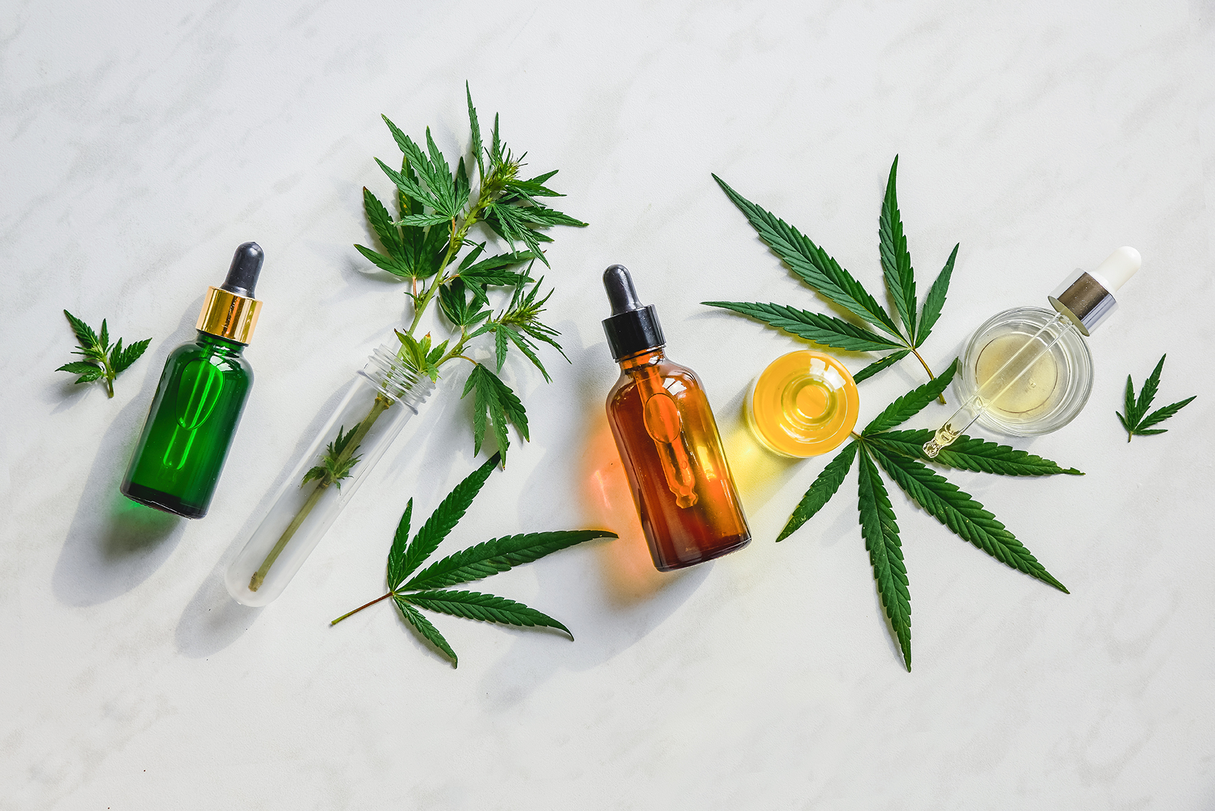 Questions About CBD? Get the NatuRx CBD 101 Guide